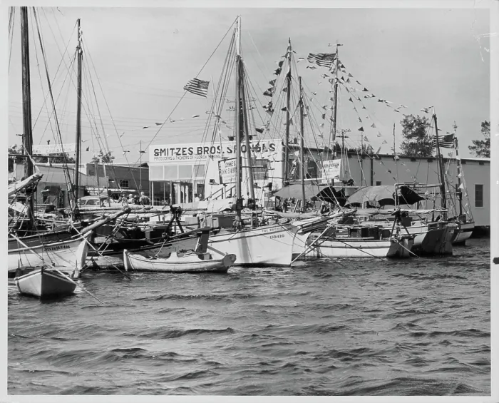 Framed Print : The Tarpon Springs Fleet Framed Print : The Tarpon Springs Fleet