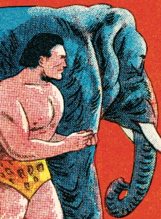 Framed Print : Tarzan and elephant Framed Print : Tarzan and elephant