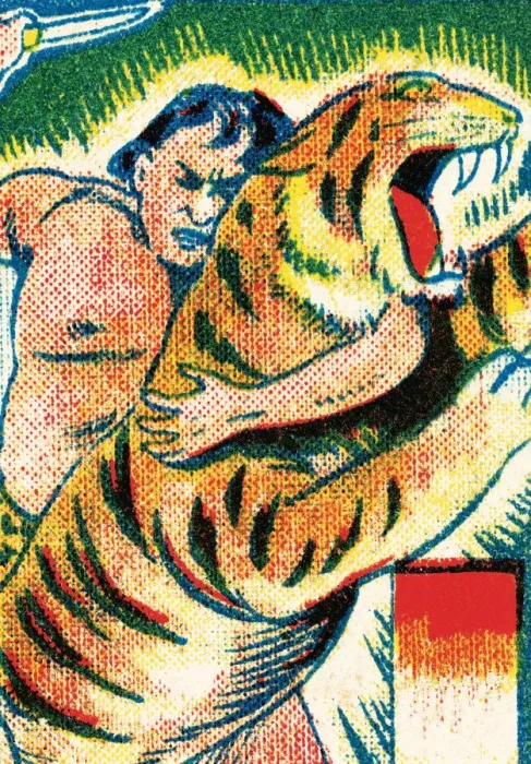 Framed Print : Tarzan and tiger Framed Print : Tarzan and tiger