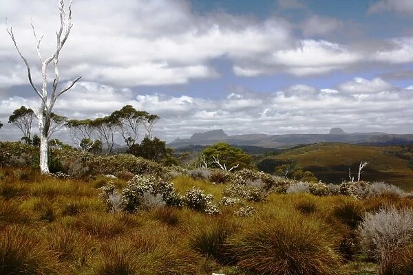 Tasmanian highlands