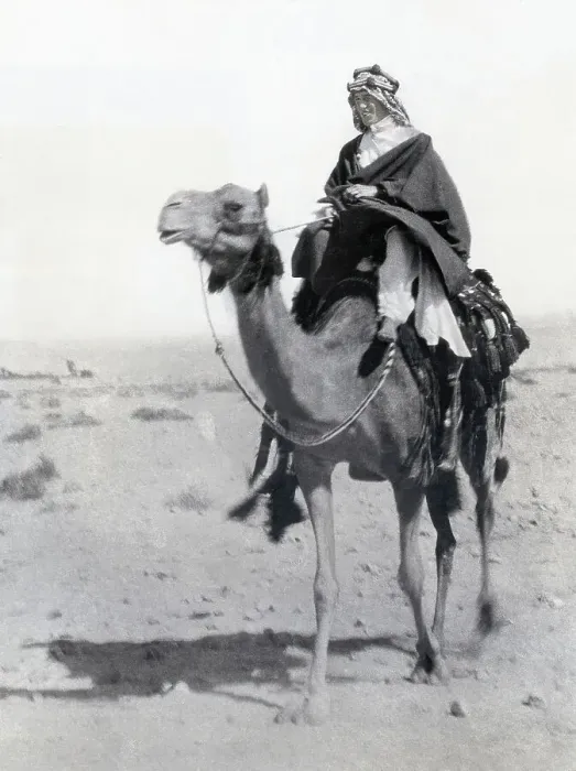 Framed Print : T.E. Lawrence Riding a Camel Framed Print : T.E. Lawrence Riding a Camel