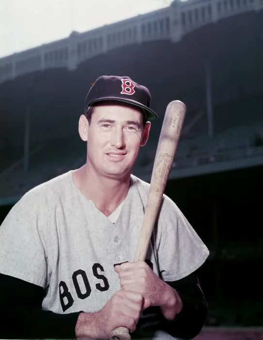 Framed Print : Ted Williams Framed Print : Ted Williams