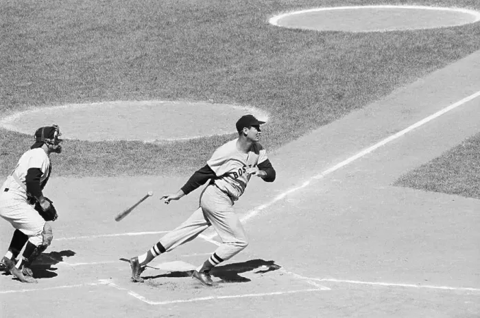 Framed Print : Ted Williams Drops Bat After Hitting Ball Framed Print : Ted Williams Drops Bat After Hitting Ball