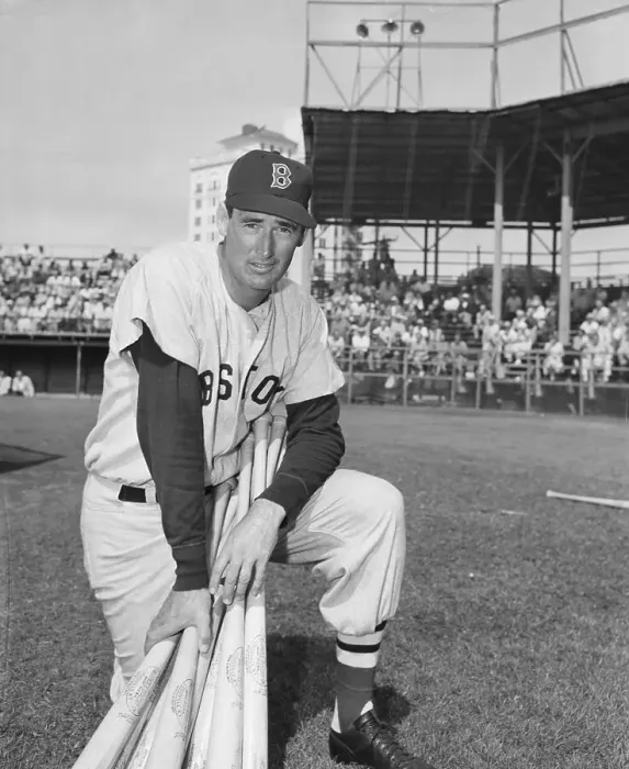 Framed Print : Ted Williams Poses Holding Many Bats Framed Print : Ted Williams Poses Holding Many Bats