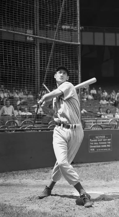 Framed Print : Ted Williams Is Shown Swinging Bat