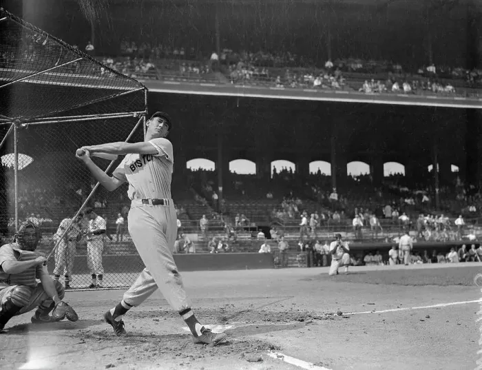 Framed Print : Ted Williams Swinging the Bat in Preparation for Upcoming Game Framed Print : Ted Williams Swinging the Bat in Preparation for Upcoming Game