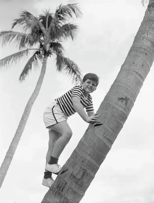 Framed Print : Teddy Kennedy Climbing A Palm Tree