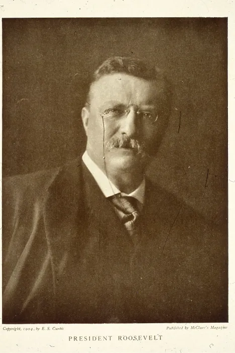 Framed Print : Teddy Roosevelt Framed Print : Teddy Roosevelt