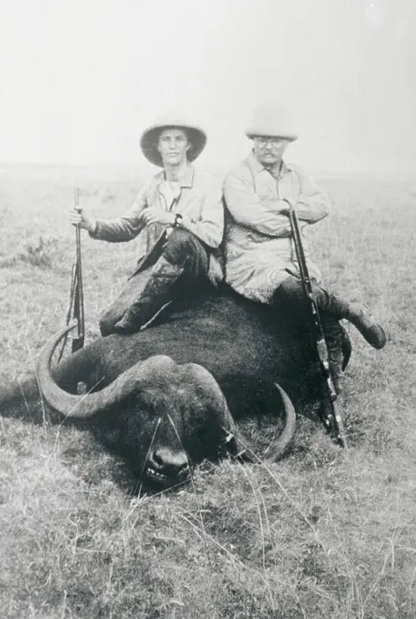 Framed Print : Teddy Roosevelt Sitting on Dead Water Buffalo with Rifle Framed Print : Teddy Roosevelt Sitting on Dead Water Buffalo with Rifle