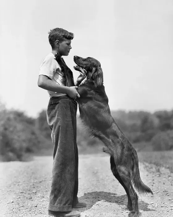 Framed Print : Teenage Boy with Irish Setter Framed Print : Teenage Boy with Irish Setter