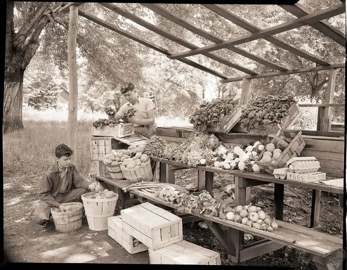 Framed Print : Teenage Boys at Vegetable Stand Framed Print : Teenage Boys at Vegetable Stand