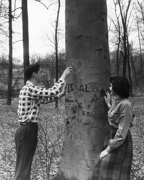 Framed Print : Teenagers Carving Initials on a Tree Framed Print : Teenagers Carving Initials on a Tree
