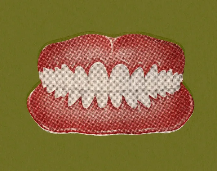 Framed Print : Teeth and Gums Framed Print : Teeth and Gums
