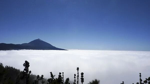 Teide volcano above a sea of clouds