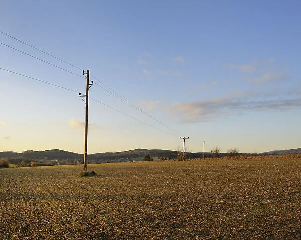 Telegraph poles and field, Lower Austria, Austria, Europe