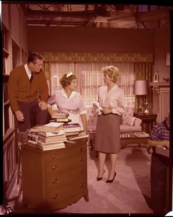 : Television Show Hazel : Television Show Hazel