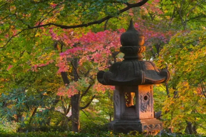 Framed Print : Temple garden, Kyoto, Honshu, Japan