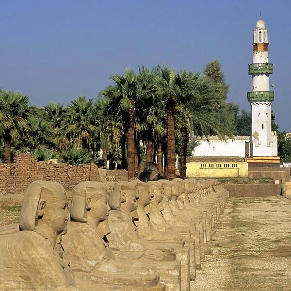 Temple of Luxor Sphinxes and Mosque, Luxor, Egypt