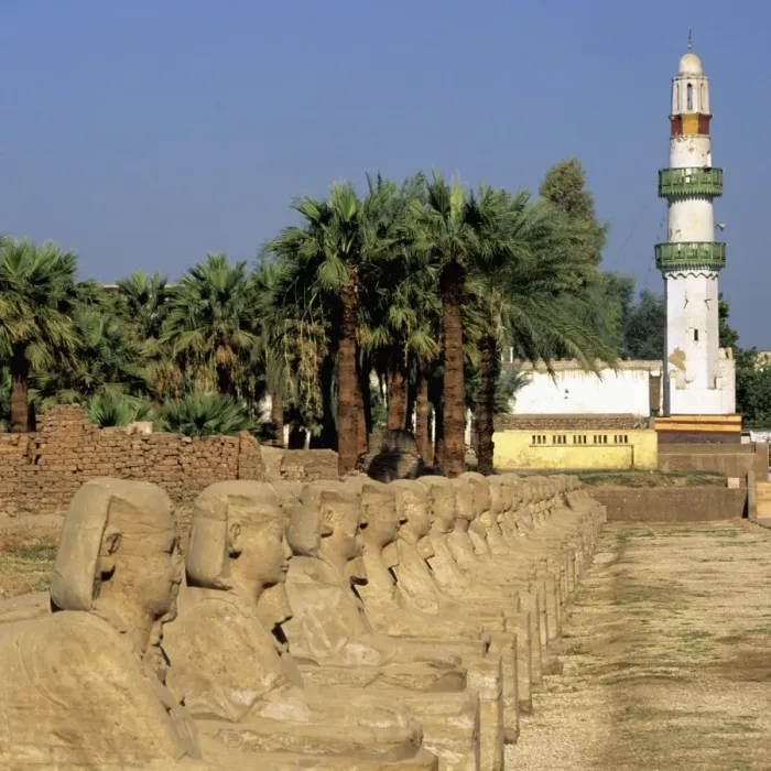Framed Print : Temple of Luxor Sphinxes and Mosque, Luxor, Egypt
