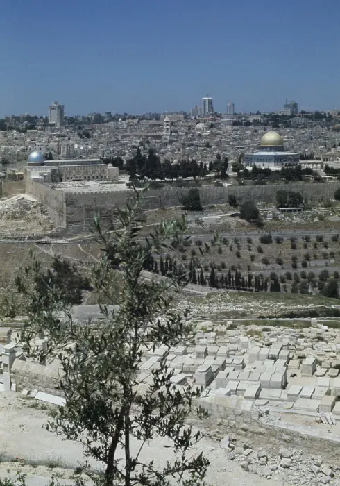 Framed Print : Temple Mount, Jerusalem Framed Print : Temple Mount, Jerusalem