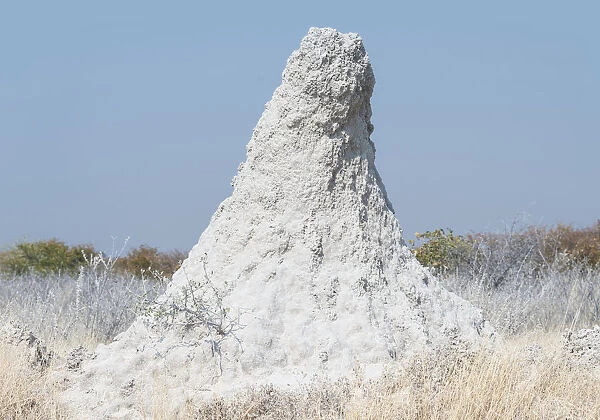 Termite mound at the edge of the Etosha Pan, Etosha National Park, Namibia