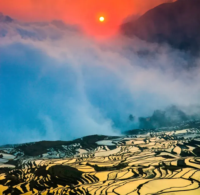 Framed Print : Terraced field Framed Print : Terraced field