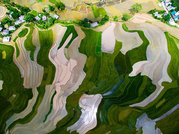 Terraced rice field in water season in Mu Cang Chai from above
