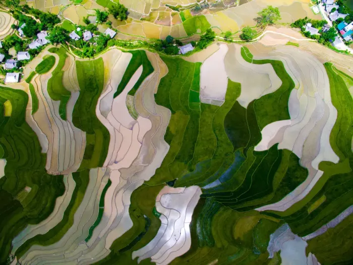 Framed Print : Terraced rice field in water season in Mu Cang Chai from above Framed Print : Terraced rice field in water season in Mu Cang Chai from above