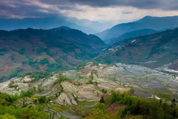 Framed Print : Terraced rice paddy fields, Yuanyang, China