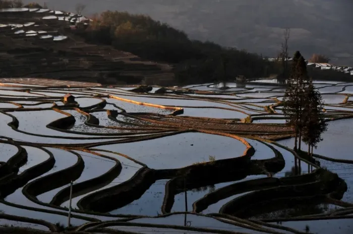 Framed Print : Terraces. Terraced fields have been being officially acknowledged by UNESCO Framed Print : Terraces. Terraced fields have been being officially acknowledged by UNESCO