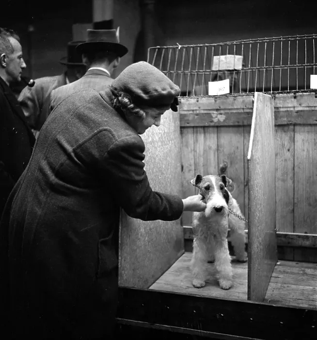 Framed Print : Terrier Admiration Framed Print : Terrier Admiration