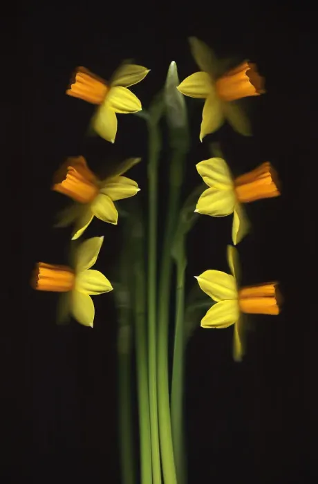 Framed Print : Tete-a-Tete Framed Print : Tete-a-Tete