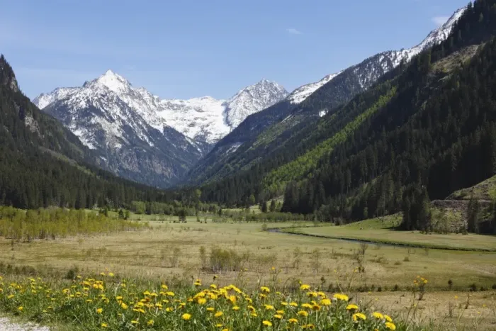 Framed Print : Tettermoos in Untertal valley, Soelktaeler Nature Park, Schladming Tauern mountains, Upper Styria, Styria, Austria, Europe