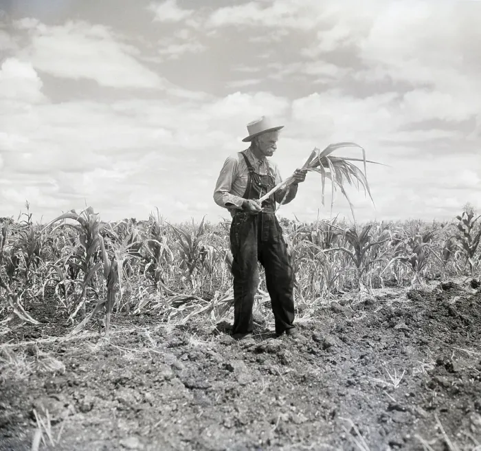 Framed Print : Texas Farmer With Burnt Field Framed Print : Texas Farmer With Burnt Field