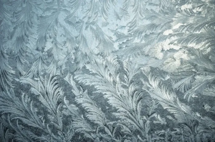 Framed Print : Texture, frost flowers Framed Print : Texture, frost flowers