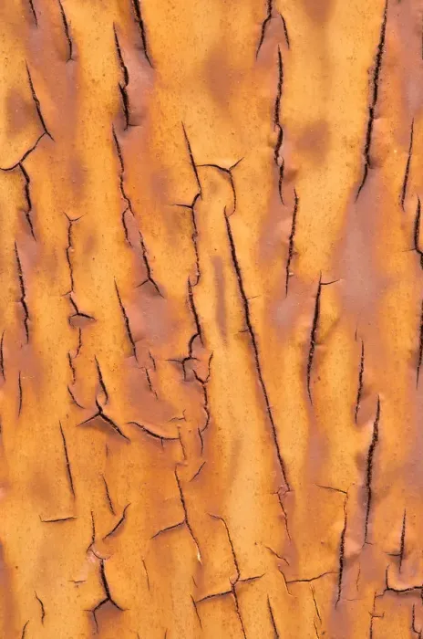Framed Print : Texture, metal with flaking paint Framed Print : Texture, metal with flaking paint