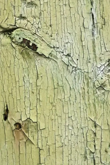 Framed Print : Texture, wood with flaking paint Framed Print : Texture, wood with flaking paint