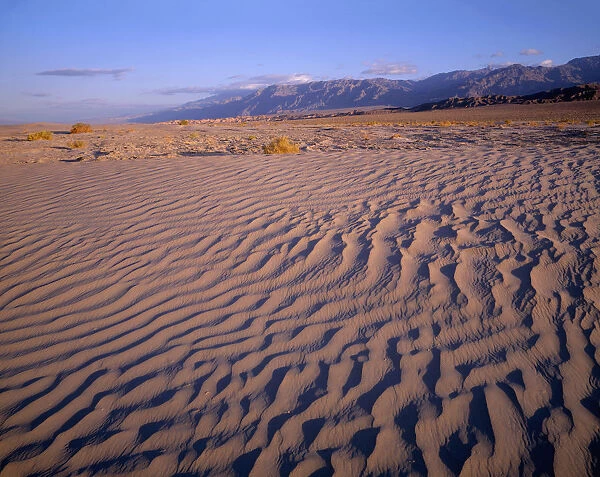 Textures in sand dunes at Mesquite Flats with Grapevine Mountains in distance, Death Valley National Park, California, USA