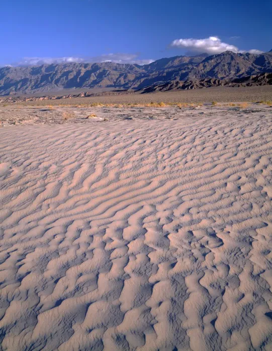 Framed Print : Textures in sand dunes at Mesquite Flats with Grapevine Mountains in distance, Death Valley National Park, California, USA