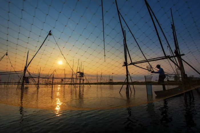 Framed Print : Thai traditional fishing Framed Print : Thai traditional fishing