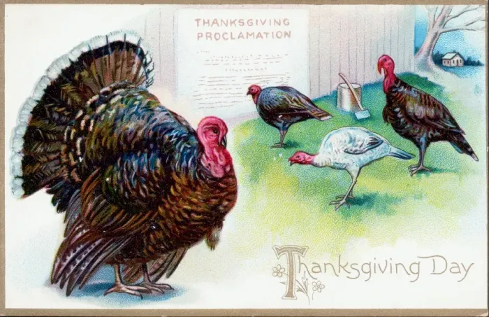 Framed Print : Thanksgiving Day Turkey Framed Print : Thanksgiving Day Turkey
