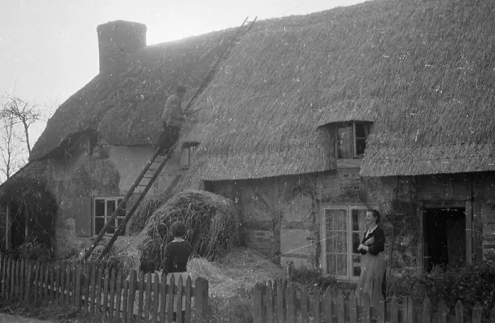 Framed Print : Thatching The Roof Framed Print : Thatching The Roof