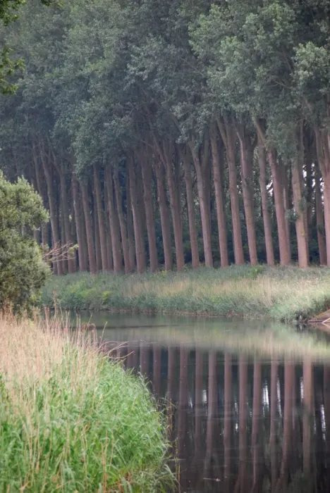 Framed Print : The-canals-of-Flanders-around-Damme-1 Framed Print : The-canals-of-Flanders-around-Damme-1