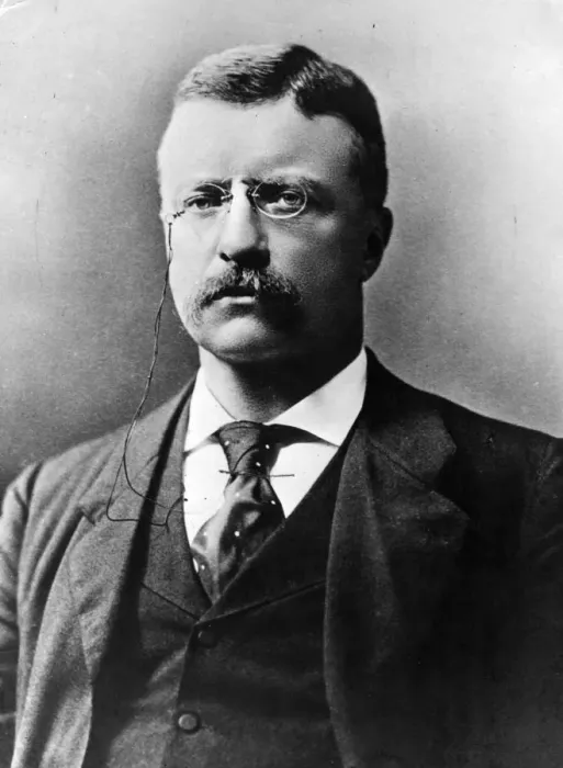 Framed Print : Theodore Roosevelt Framed Print : Theodore Roosevelt