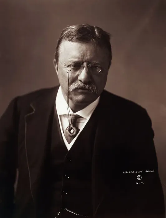 Framed Print : Theodore Roosevelt Framed Print : Theodore Roosevelt