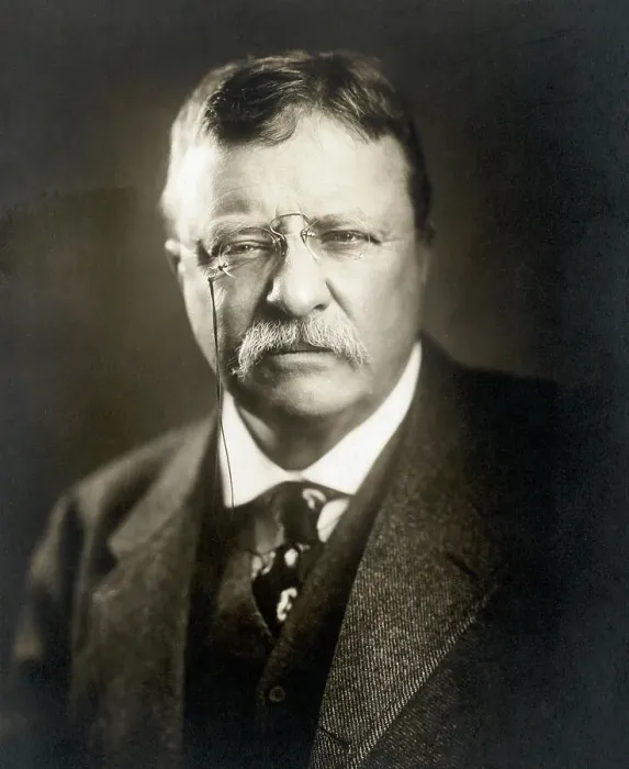 Framed Print : Theodore Roosevelt Framed Print : Theodore Roosevelt