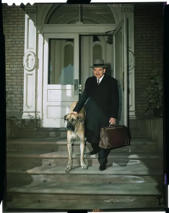 Framed Print : Thomas Dewey Walking His Dog Framed Print : Thomas Dewey Walking His Dog