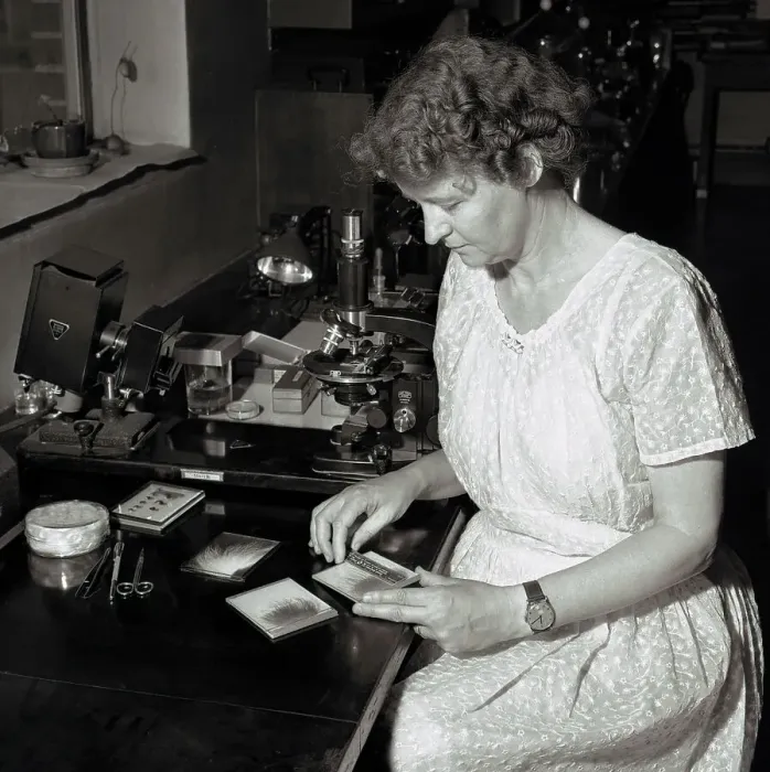 Framed Print : Thora Hardy Studying Fur Samples Framed Print : Thora Hardy Studying Fur Samples