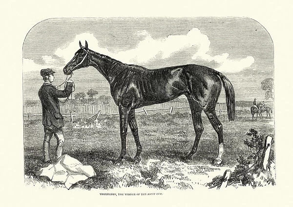Thormanby, British Thoroughbred racehorse and sire, Ascot cup winner, 1861