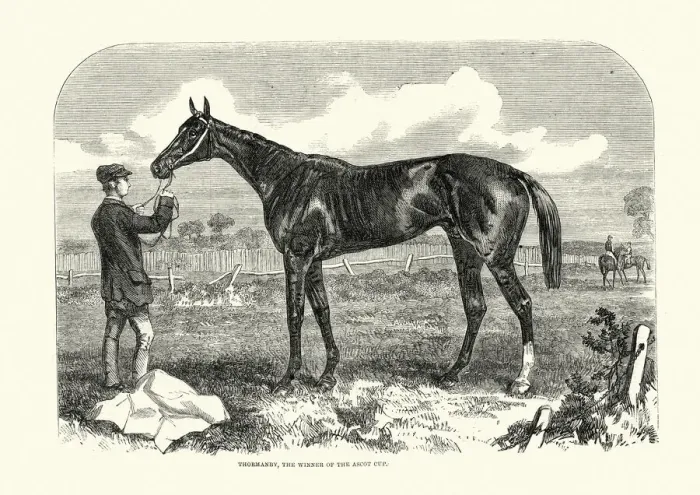 Framed Print : Thormanby, British Thoroughbred racehorse and sire, Ascot cup winner, 1861 Framed Print : Thormanby, British Thoroughbred racehorse and sire, Ascot cup winner, 1861